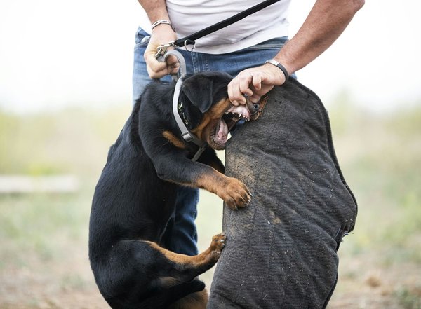 How can the placement of child seats in a minivan impact passenger safety in the event of a side collision?